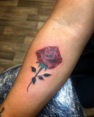 Colored rose