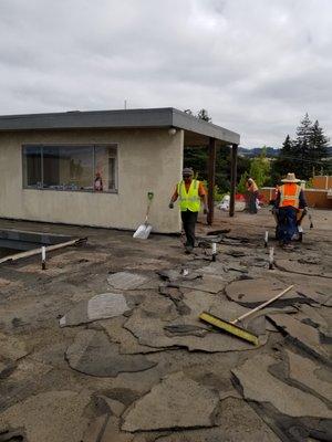 Removing Tar & Gravel Roof. Apartment Complex In Oakland