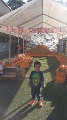 Pumpkin picking at First Presbyterian Preschool!