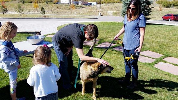 Blessing of the Animals 2017