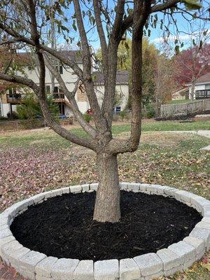 Created an edge around this tree.