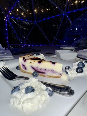 Blueberry brûlée cheesecake (inside the igloo)