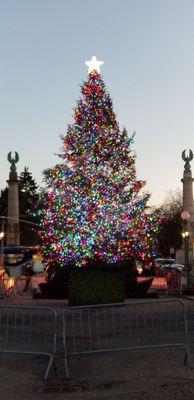 Grand Army Plaza Christmas Tree.