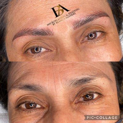 Hair Strokes La técnica que desplazó el microblading. Llama y reserva tu cita al 7063133560