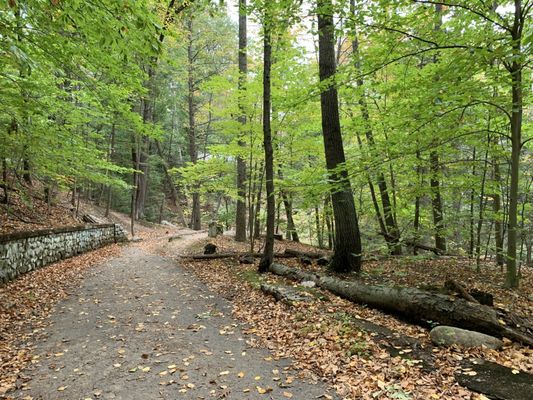 Hiking path