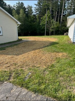 After photo of an old concrete retaining wall removal. Installes screened topsoil, grass seed, fertilizer and seed covering all set