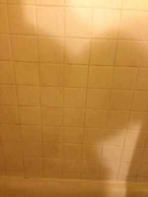 Shower walls