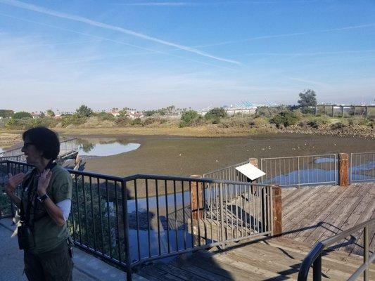 Salt Marsh expert giving an overview to the group