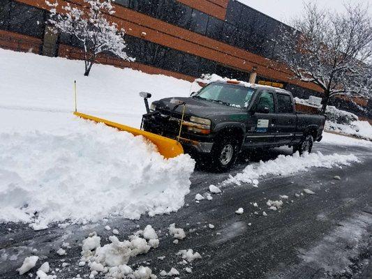 Chavez Tree Service