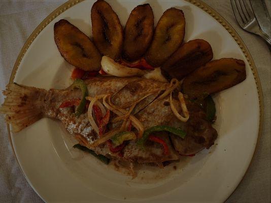 Kuramo Tilapia