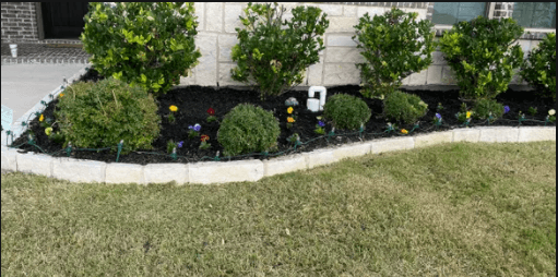 We offer a wide range of ideas for proper maintenance and planting any seasonal flowers and shrubs.