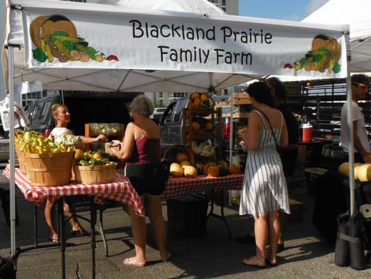 Blackland Prarie Family Farm