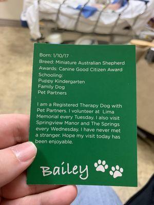 Bailey the Registered Therapy Dog