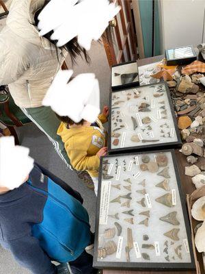 Chesapeake Heritage and Paleontology Tours