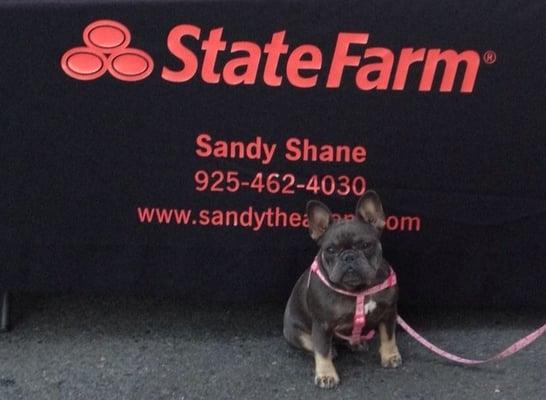 Pleasanton 1st Wednesday Night booth. Our mascot at the booth.