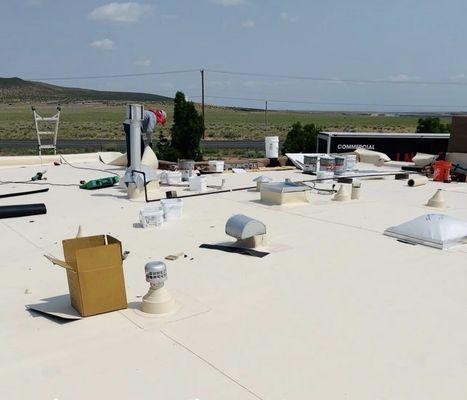 Residential and commercial TPO Roofs