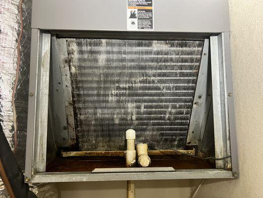 Cleaned Evaporator coil