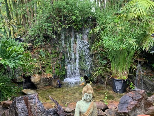 Waterfall at back of nursery