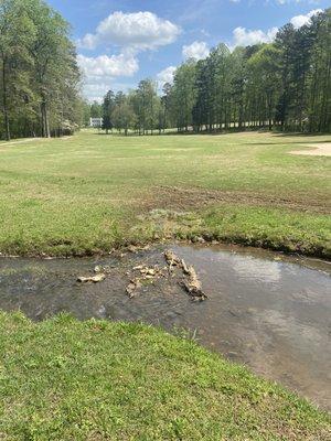 18th fairway