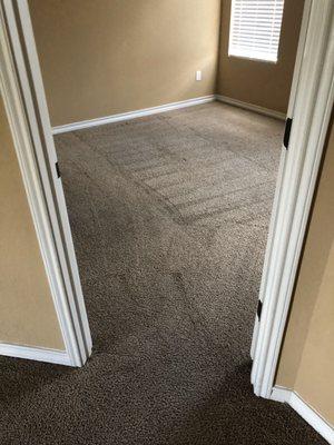 Steam cleaning- Carpet