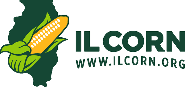 IL Corn