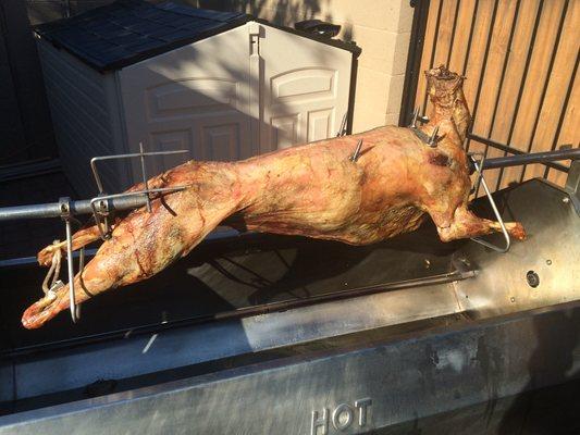 Whole roasting Lamb