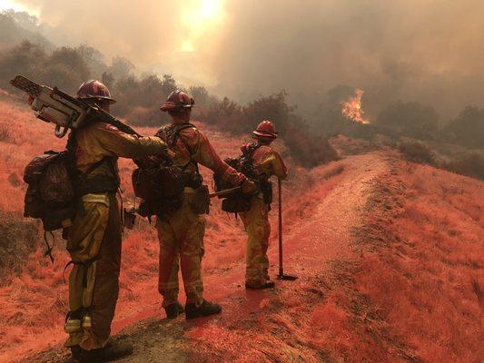 Lake Elsinore Holy Fire 2018 CCC Crews and Calfire Firefighters going into battle.