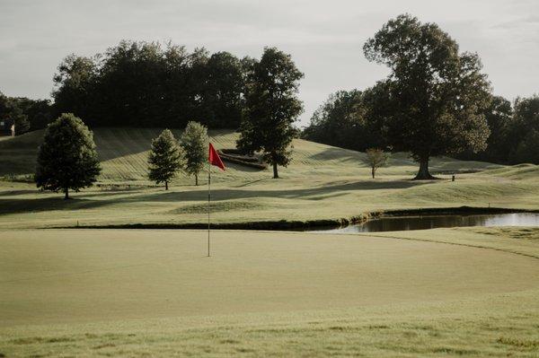 View from #1 green looking back to the fairway.