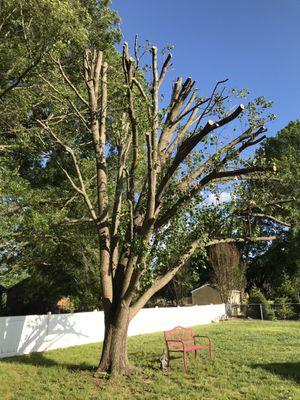 Sure-Way Tree Service