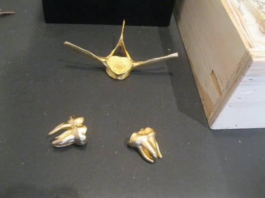 These are just free-standing molars, although I'd love to see them as cufflinks or earrings. The vertebra is beautiful in gold.