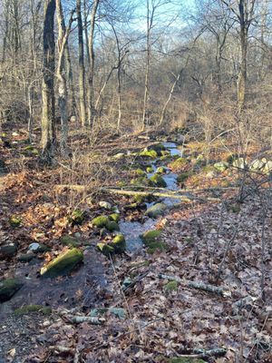 The spring (unnamed) that powered the cotton mill back in the day