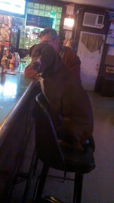 Hank the bar dog.