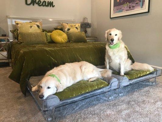 Dog Beds