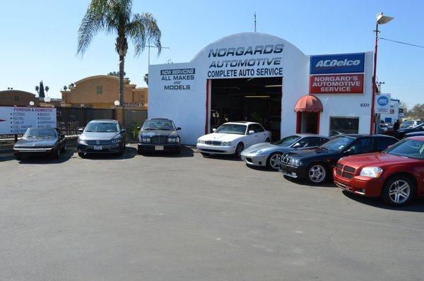 Norgard's Automotive