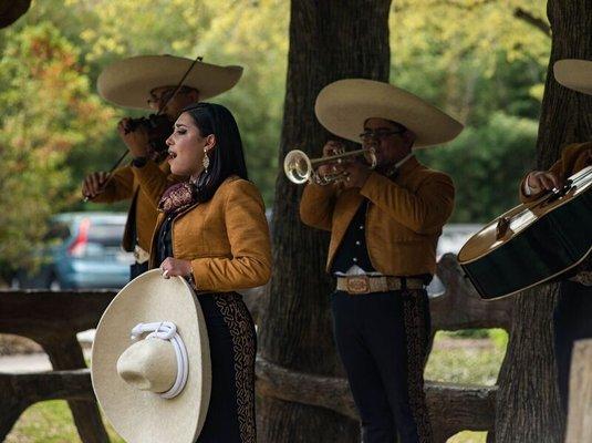 Mariachi Azul de San Antonio