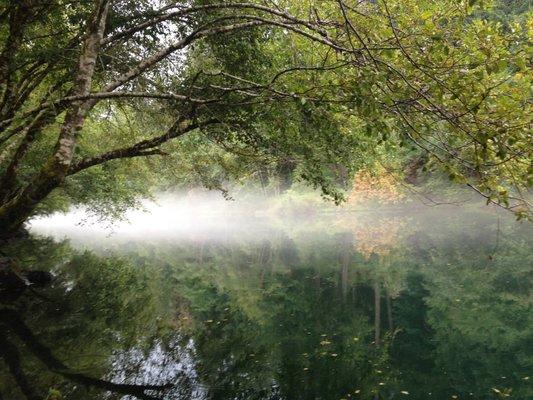 North Umpqua Trail Views