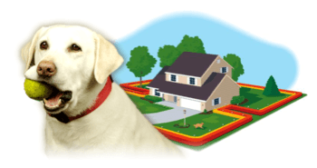 http://www.petdogfences.com