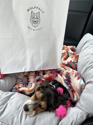 Sleepy girl with her new blanket and bag of toys!