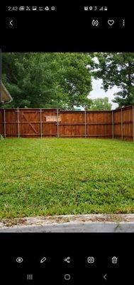 Afters sod installation