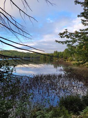 Walking around the lake to start the day!