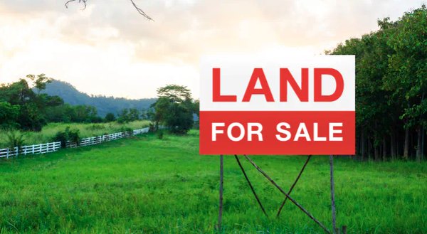 Discover the true worth of your land.- Land Valuations