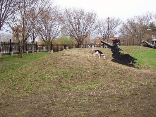 Dogs digging Earthworks