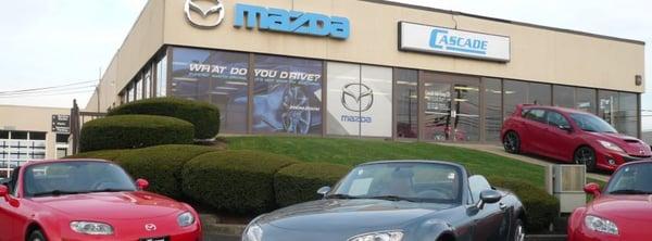 Cascade Mazda Showroom