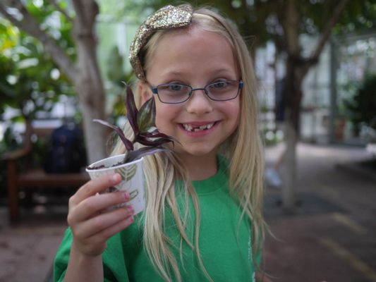 Summer Camp field trip to DC Smith Greenhouse