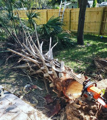 Palm Removal