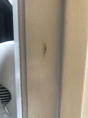 Feces smudge on doorway to bathroom