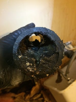 Kitchen sink line clogged with grease and food