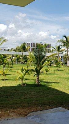 Riu Republica garden view