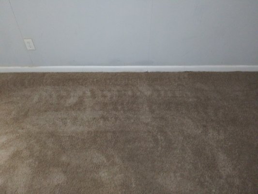 Mann Mann Carpet Cleaners