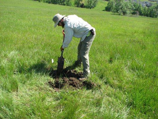 Wetland Delineation